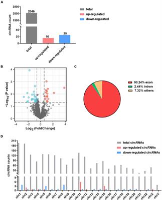 Identification of Functional CircRNA–miRNA–mRNA Regulatory Network in Dorsolateral Prefrontal Cortex Neurons of Patients With Cocaine Use Disorder